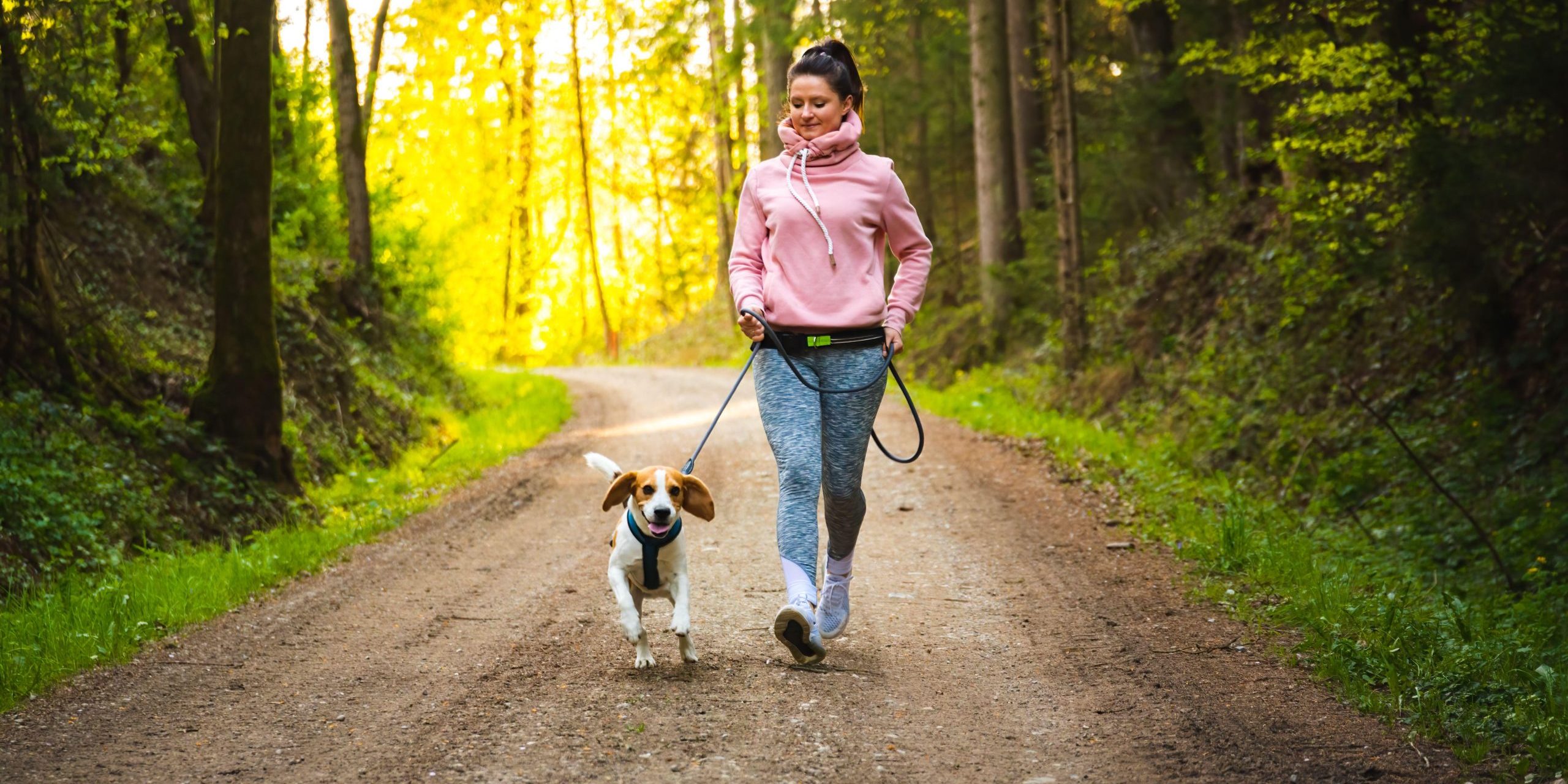 Agli italiani piace passeggiare e fare attività fisica con i loro cani -  Petme