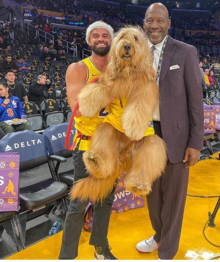 Brodie il cane appassionato di basket che non si perde una